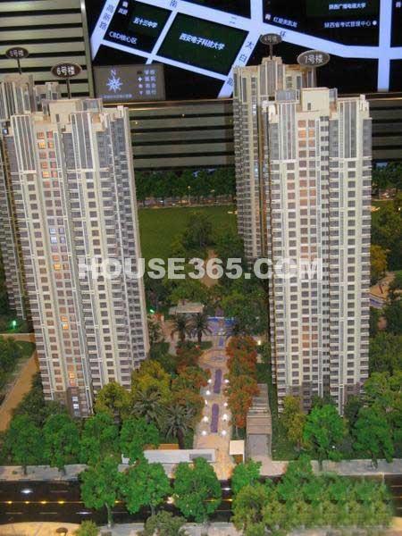 东泰城市之光最新动态