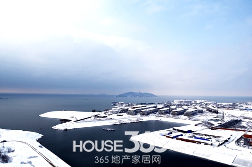 碧桂园滨湖城最新动态