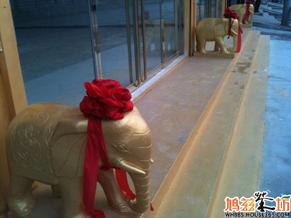 著名周易专家求前大师谈大象的寓意是什么