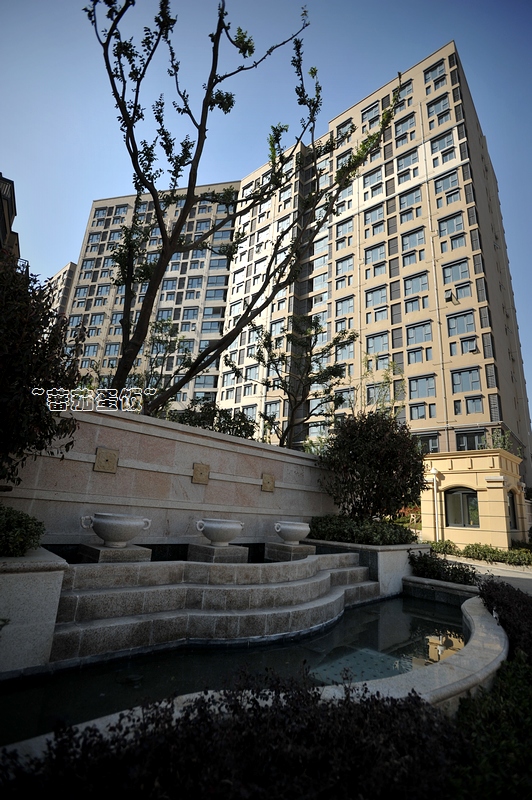 【我的看房日记】蕃茄蛋饭同学--东郊小镇八街区华丽景观片新鲜上映