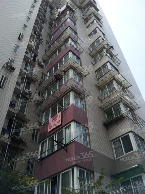 【滨河公寓外立面实景图_杭州滨河公寓外立面实景图_大图模式】_杭州